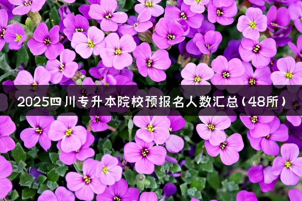 2025四川专升本院校预报名人数汇总(48所)