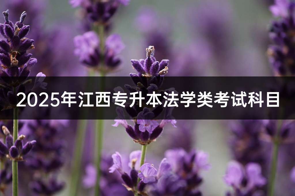2025年江西专升本法学类考试科目