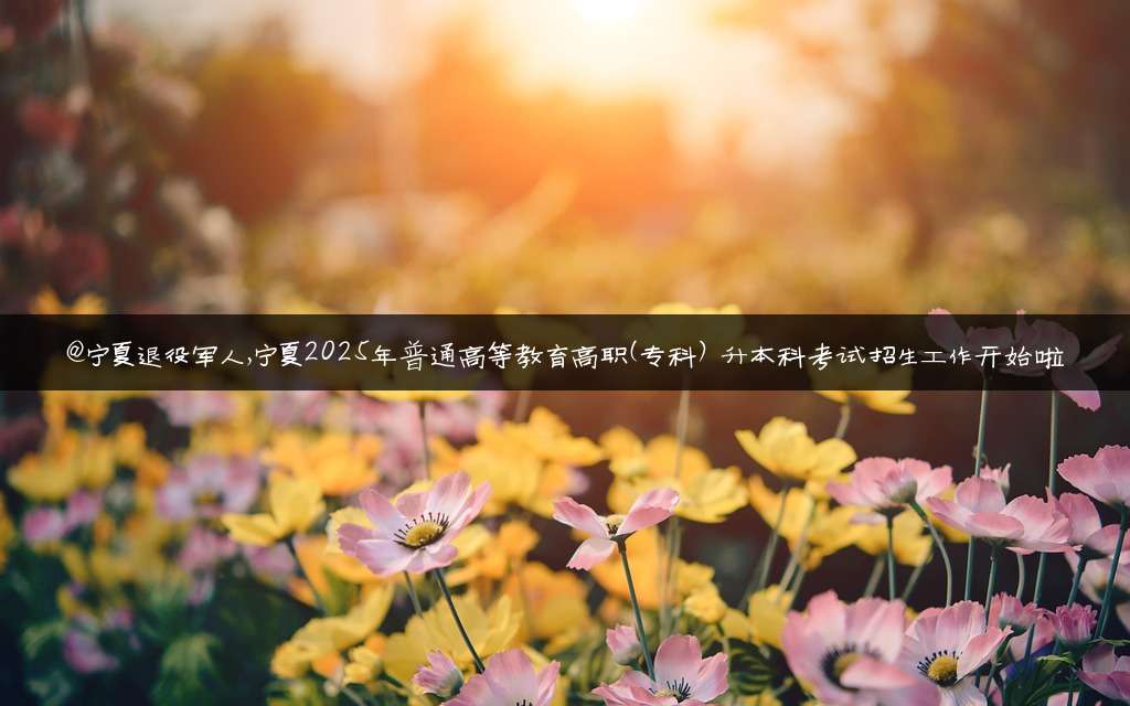 @宁夏退役军人,宁夏2025年普通高等教育高职(专科) 升本科考试招生工作开始啦