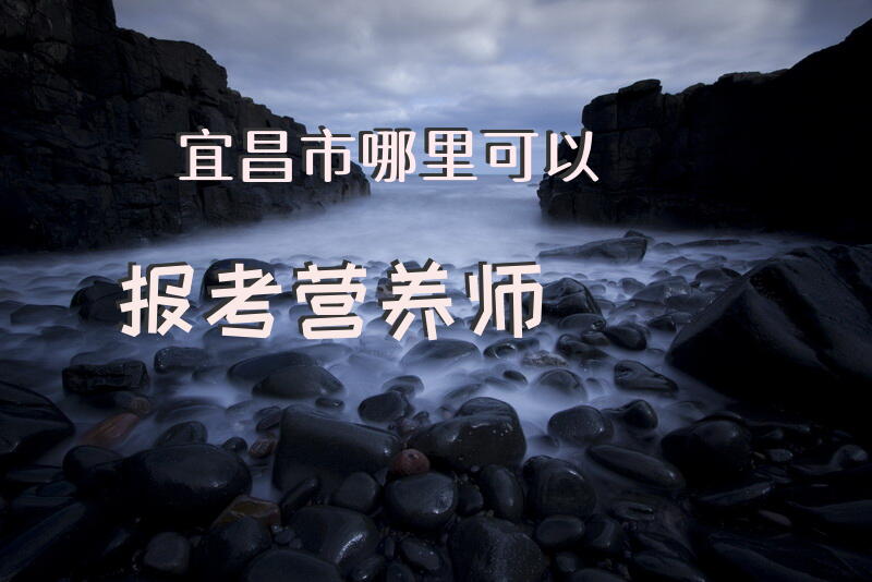 宜昌市哪里可以报考营养师