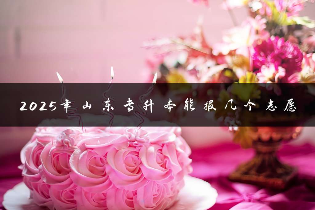 2025年山东专升本能报几个志愿