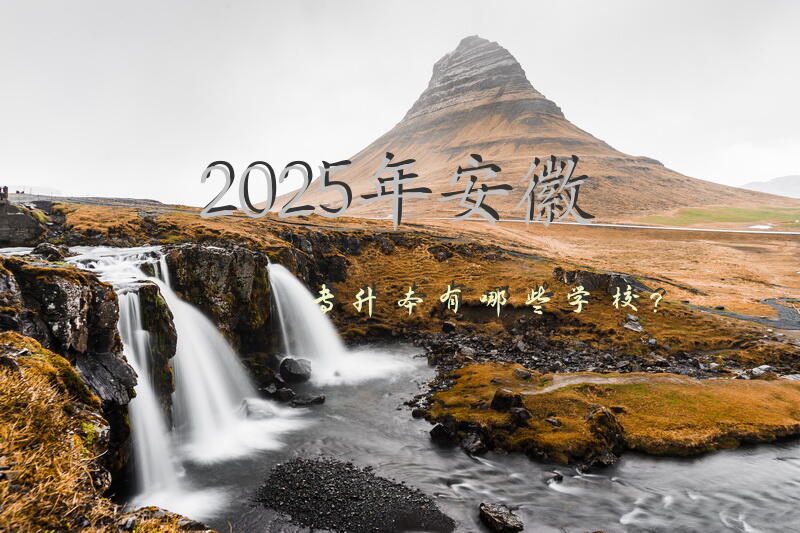 2025年安徽专升本有哪些学校？