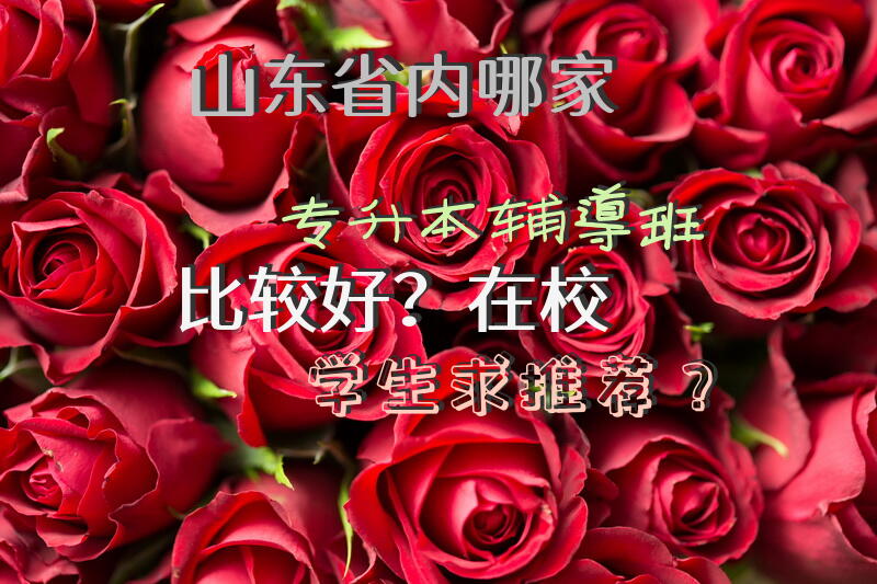山东省内哪家专升本辅导班比较好？在校学生求推荐？