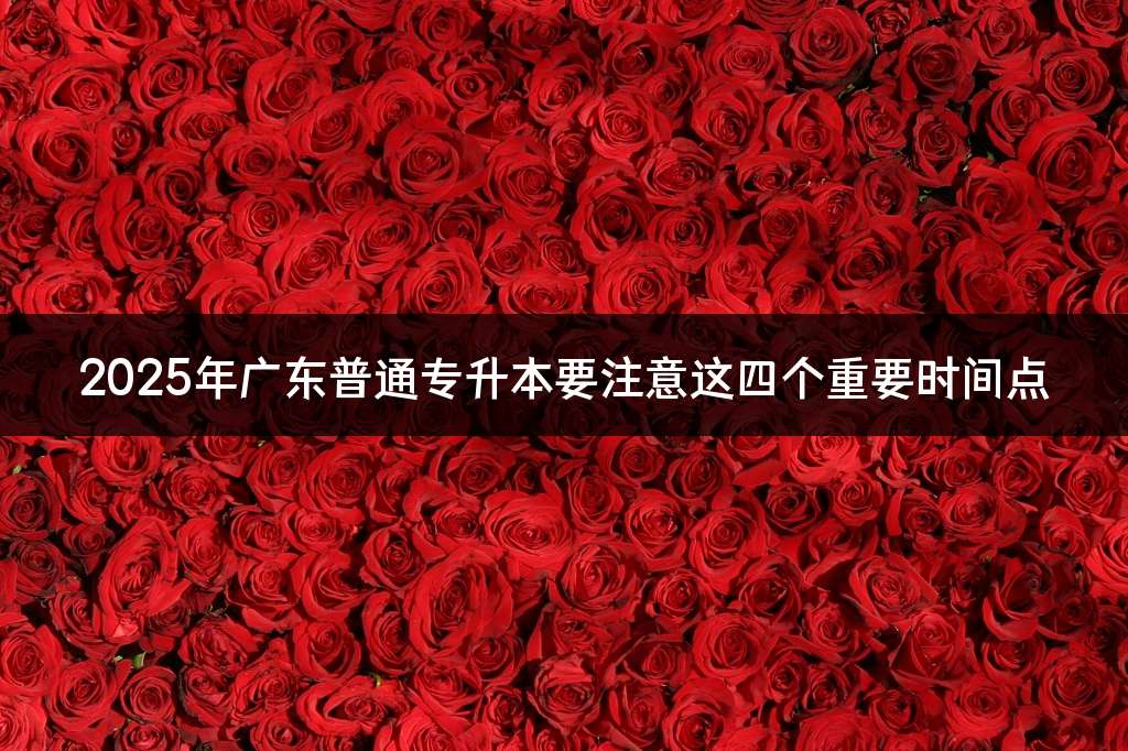 2025年广东普通专升本要注意这四个重要时间点