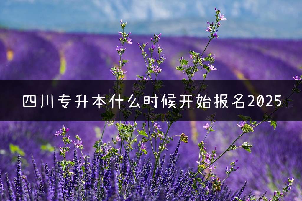 四川专升本什么时候开始报名2025