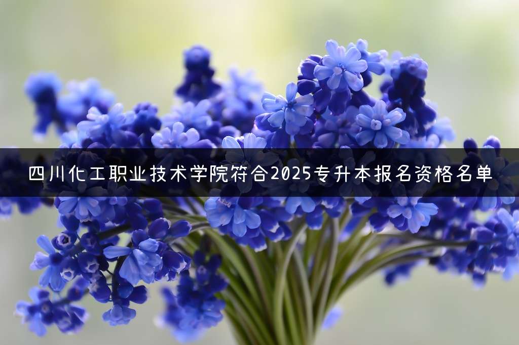四川化工职业技术学院符合2025专升本报名资格名单