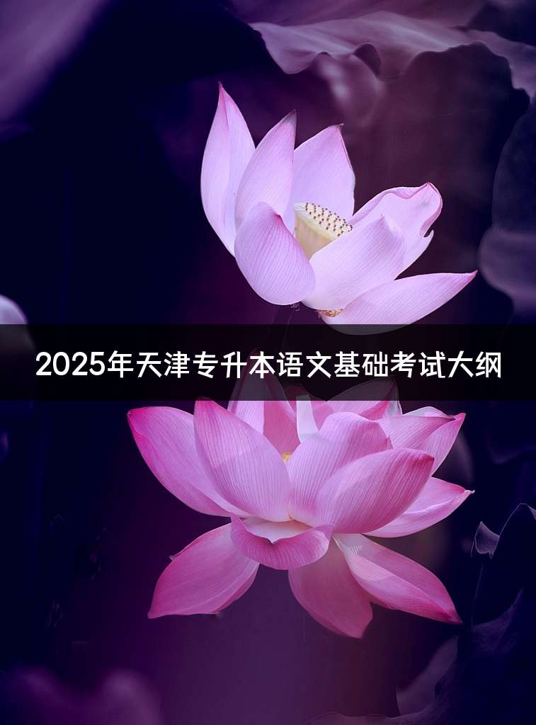 2025年天津专升本语文基础考试大纲