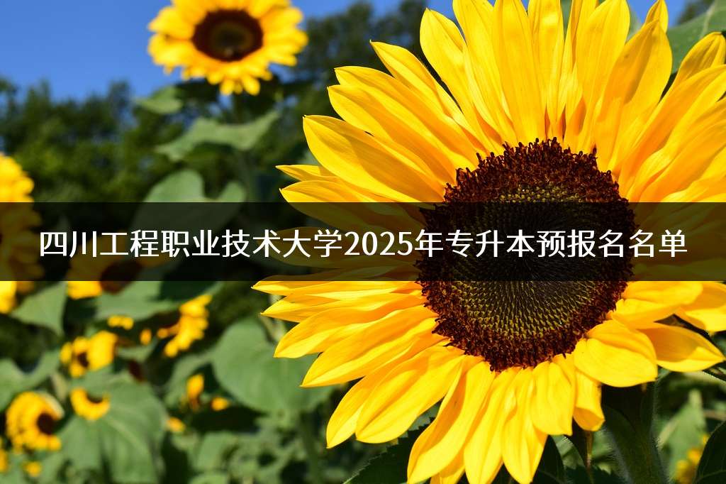 四川工程职业技术大学2025年专升本预报名名单