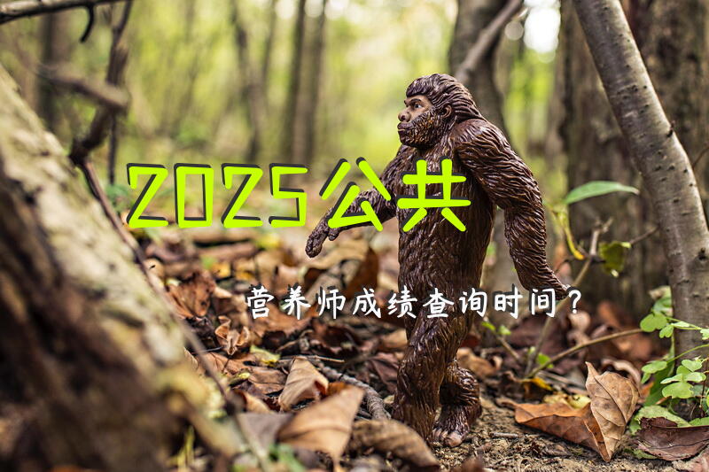 2025公共营养师成绩查询时间？