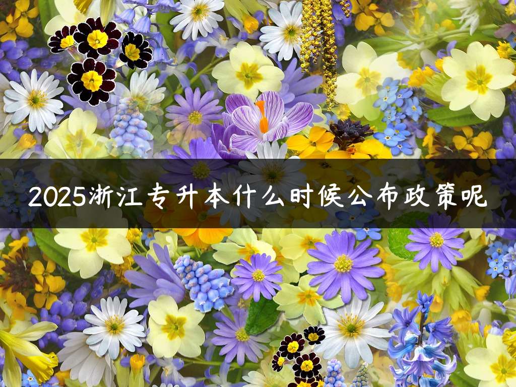 2025浙江专升本什么时候公布政策呢
