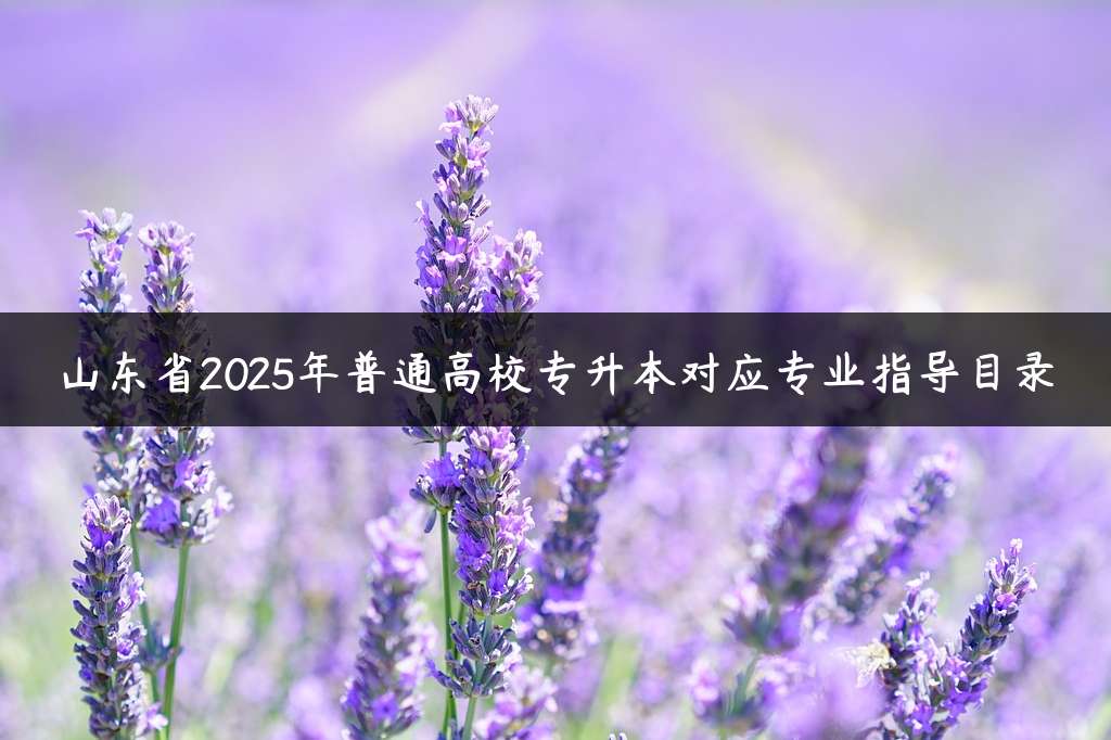 山东省2025年普通高校专升本对应专业指导目录