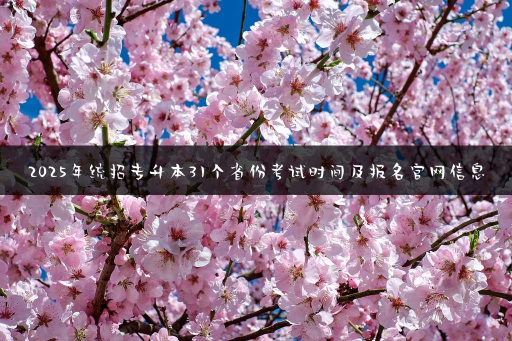 2025年统招专升本31个省份考试时间及报名官网信息