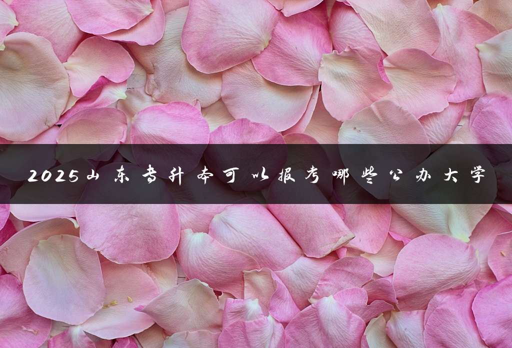 2025山东专升本可以报考哪些公办大学