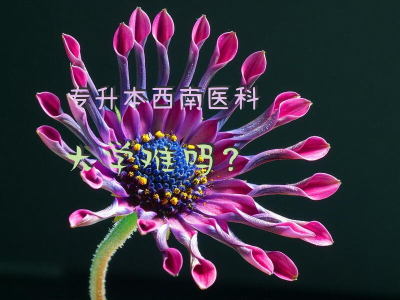 专升本西南医科大学难吗？