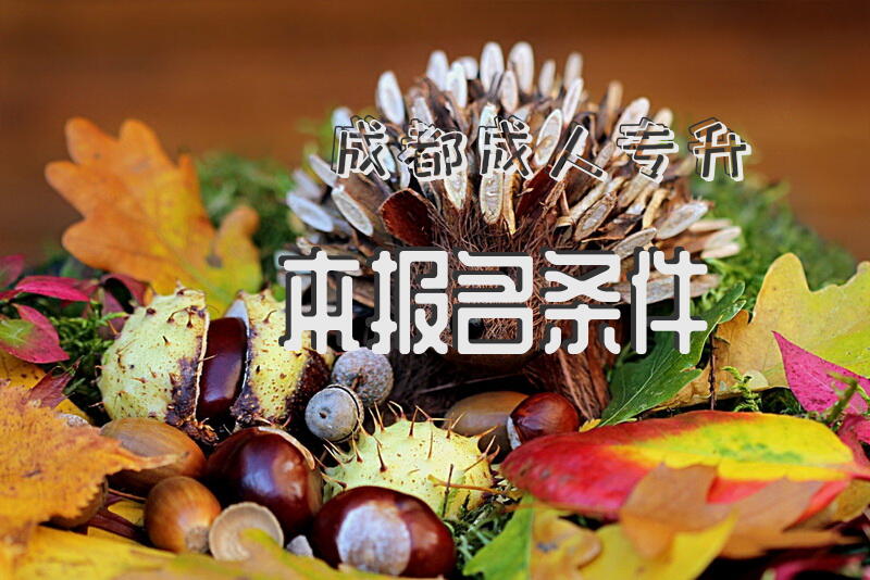 成都专升本报名条件