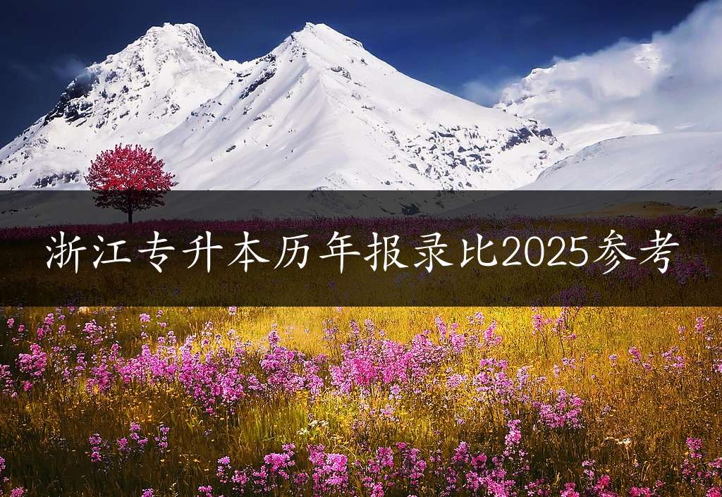 浙江专升本历年报录比2025参考