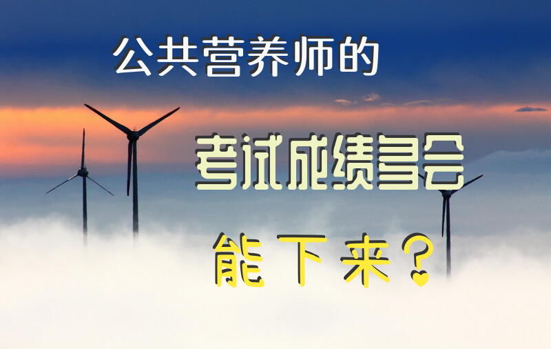 公共营养师的考试成绩多会能下来？