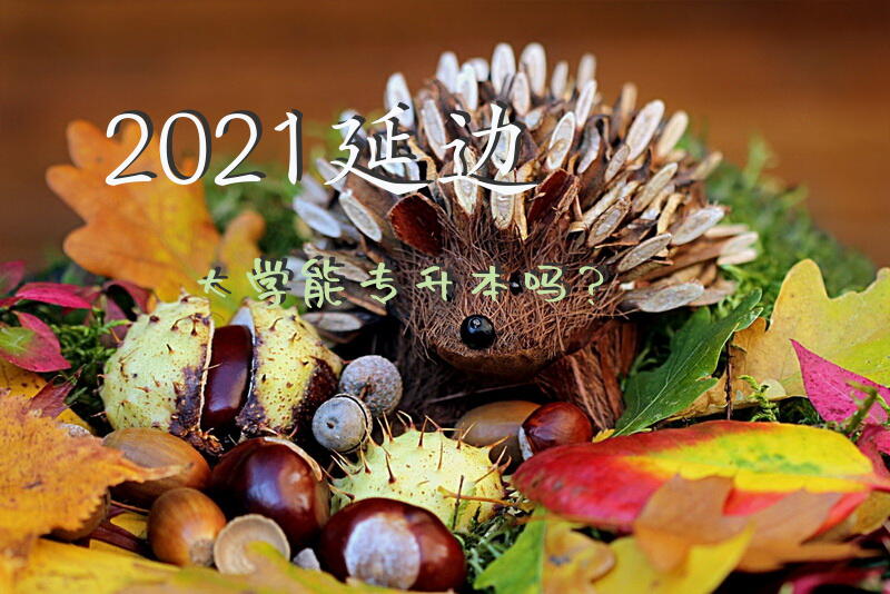 2021延边大学能专升本吗？