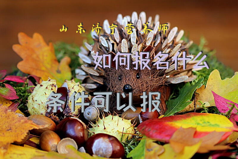 山东济宁营养师如何报名，什么条件可以报