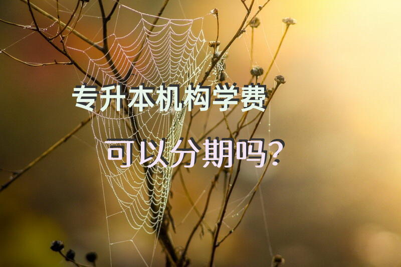 专升本机构学费可以分期吗？