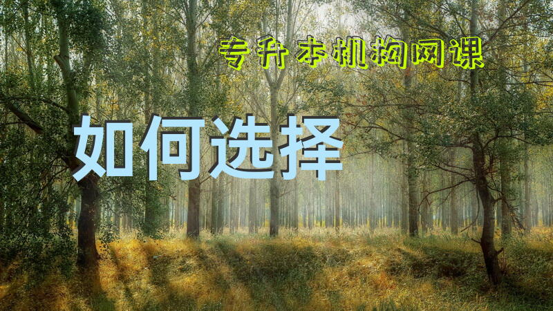 专升本机构网课如何选择