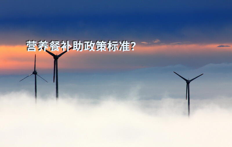 营养餐补助政策标准？