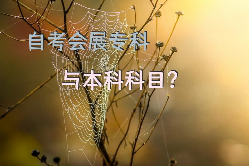 自考会展专科与本科科目？