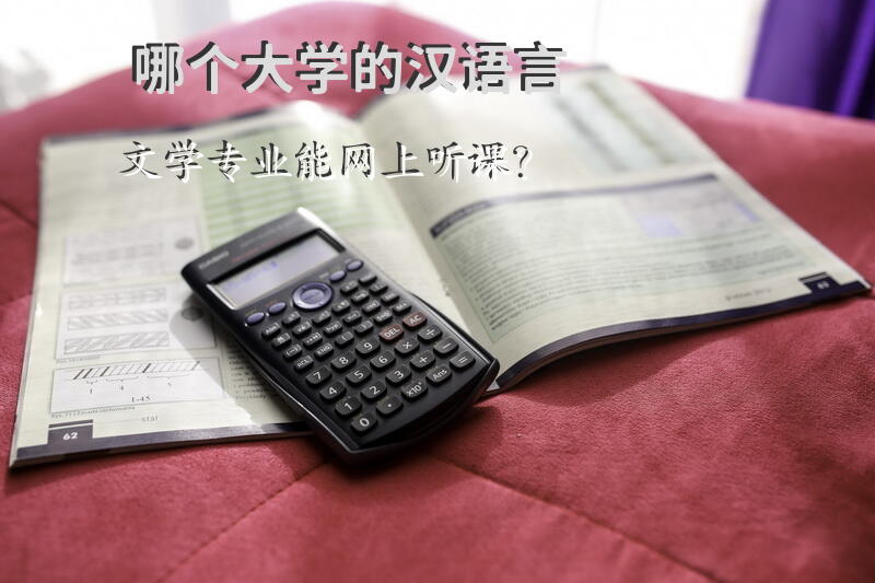 哪个大学的汉语言文学专业能网上听课？