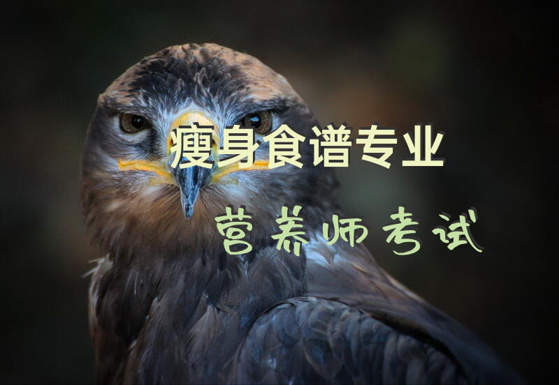 瘦身食谱专业营养师考试