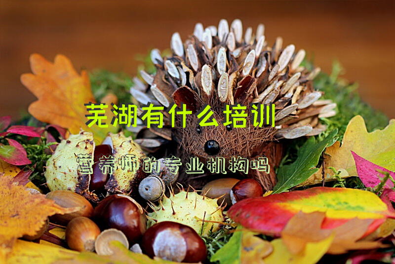 芜湖有什么培训营养师的专业机构吗
