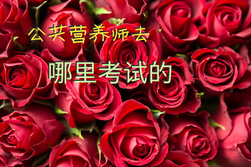 公共营养师去哪里考试的