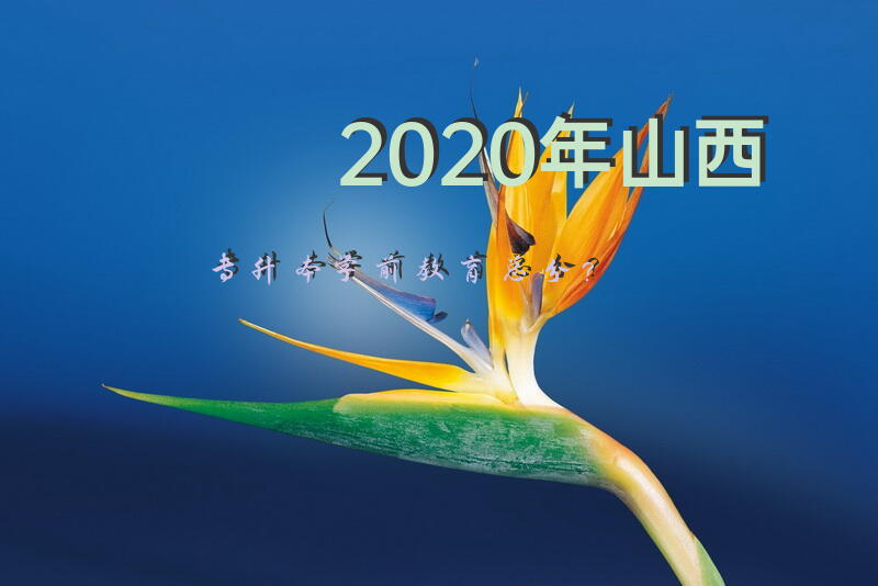 2020年山西专升本学前教育总分？