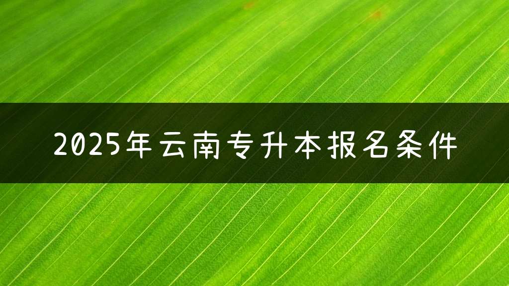 2025年云南专升本报名条件