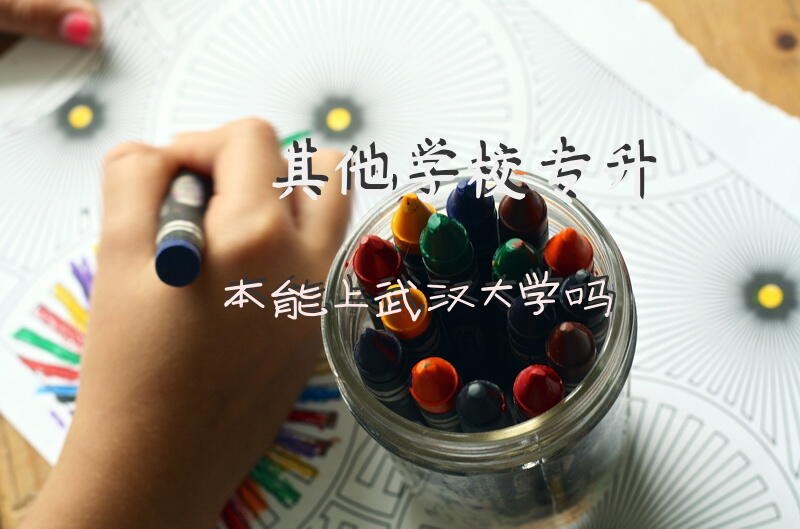 其他学校专升本能上武汉大学吗?