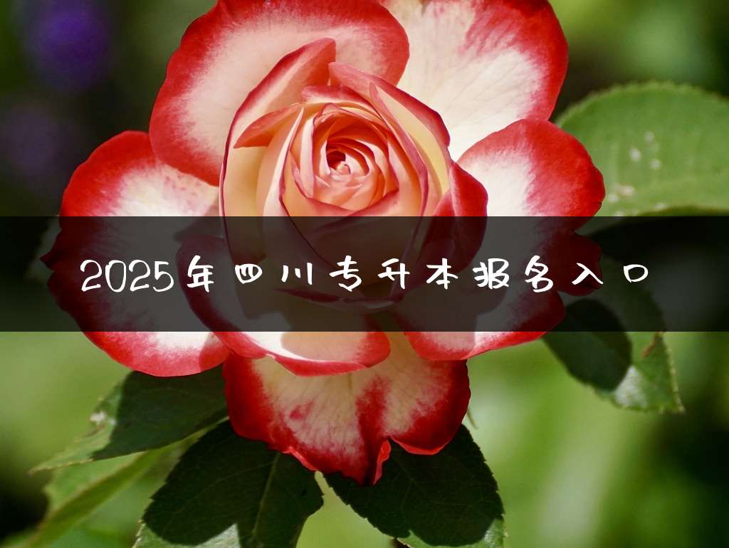 2025年四川专升本报名入口