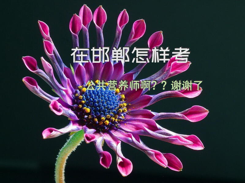 在邯郸怎样考公共营养师啊？？谢谢了