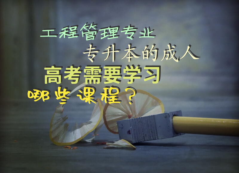 工程管理专业专升本的成人高考需要学习哪些课程？