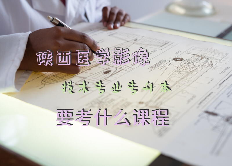 陕西医学影像技术专业专升本要考什么课程