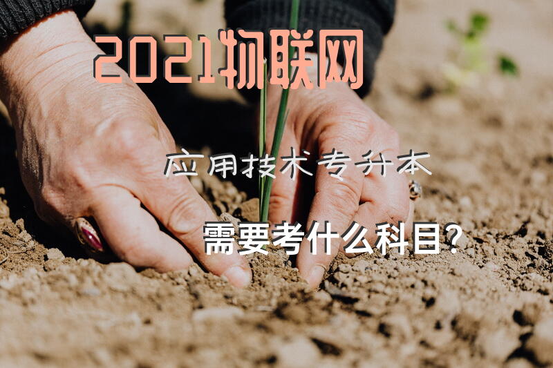 2021物联网应用技术专升本需要考什么科目？