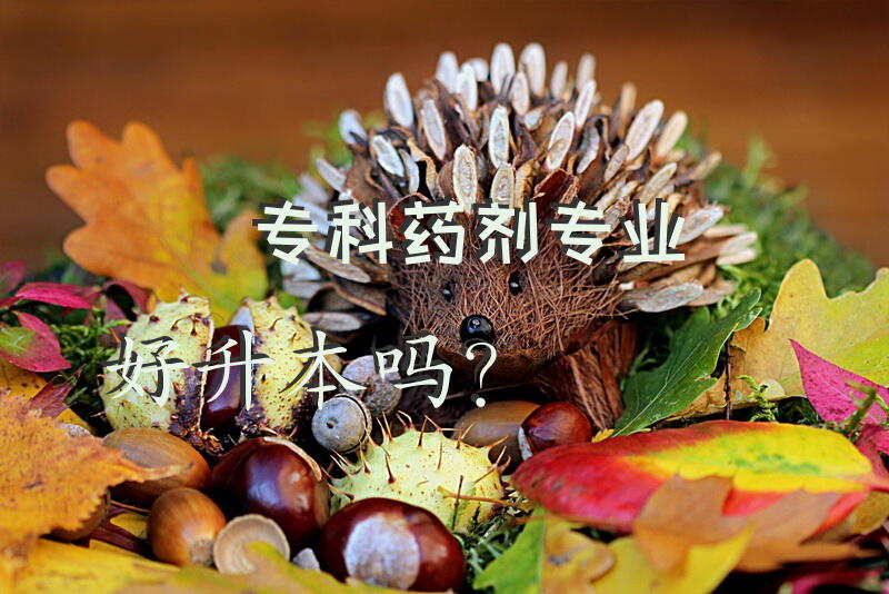 专科药剂专业好升本吗？