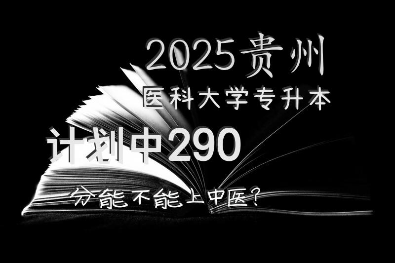 2025贵州医科大学专升本计划中，290分能不能上中医？