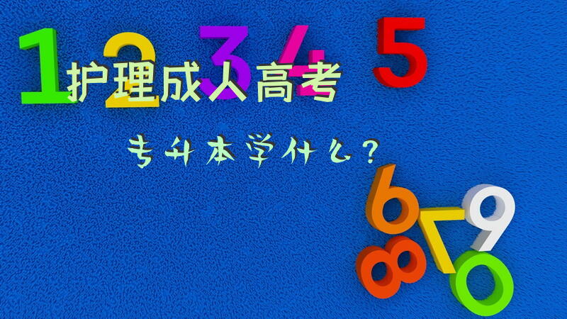 护理成人高考专升本学什么？