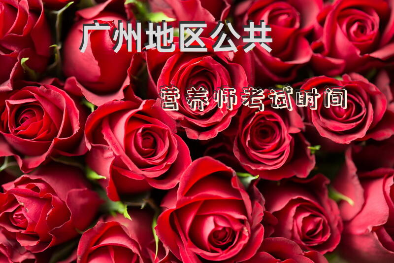 广州地区公共营养师考试时间