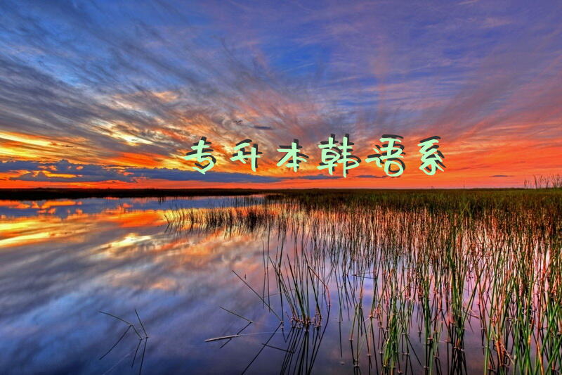 专升本韩语系
