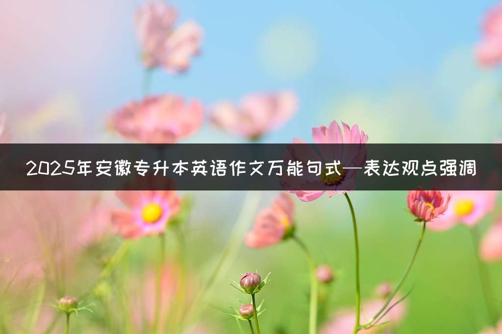 2025年安徽专升本英语作文万能句式—表达观点强调