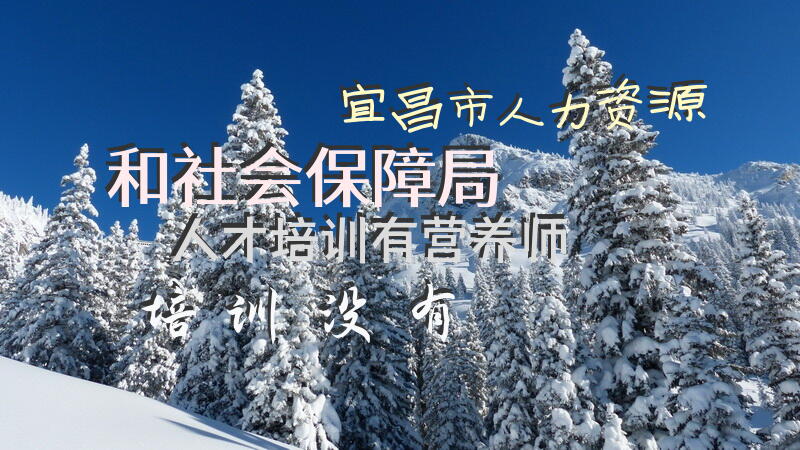 宜昌市人力资源和社会保障局人才培训有营养师培训没有