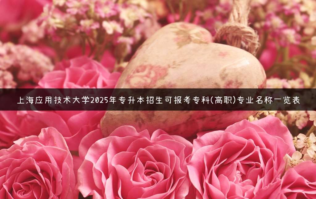 上海应用技术大学2025年专升本招生可报考专科(高职)专业名称一览表