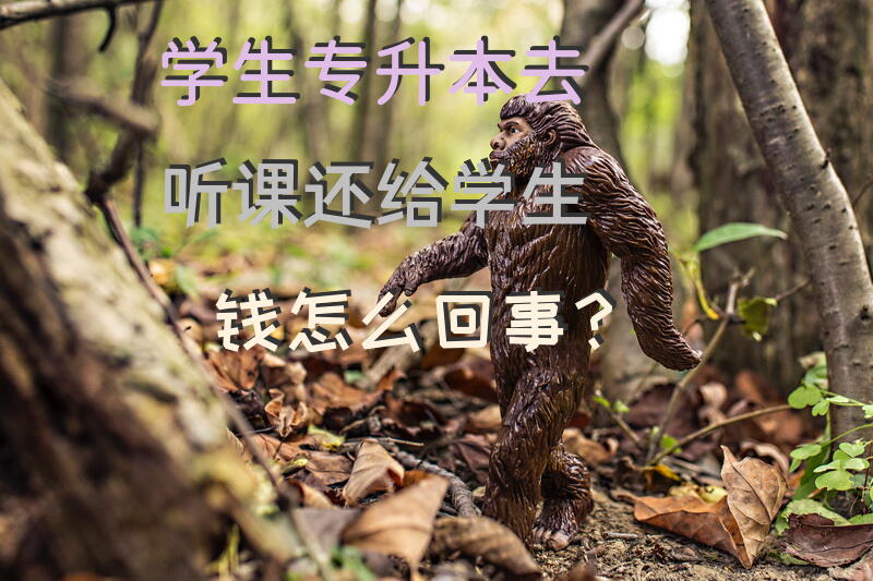 学生专升本去听课还给学生钱怎么回事？