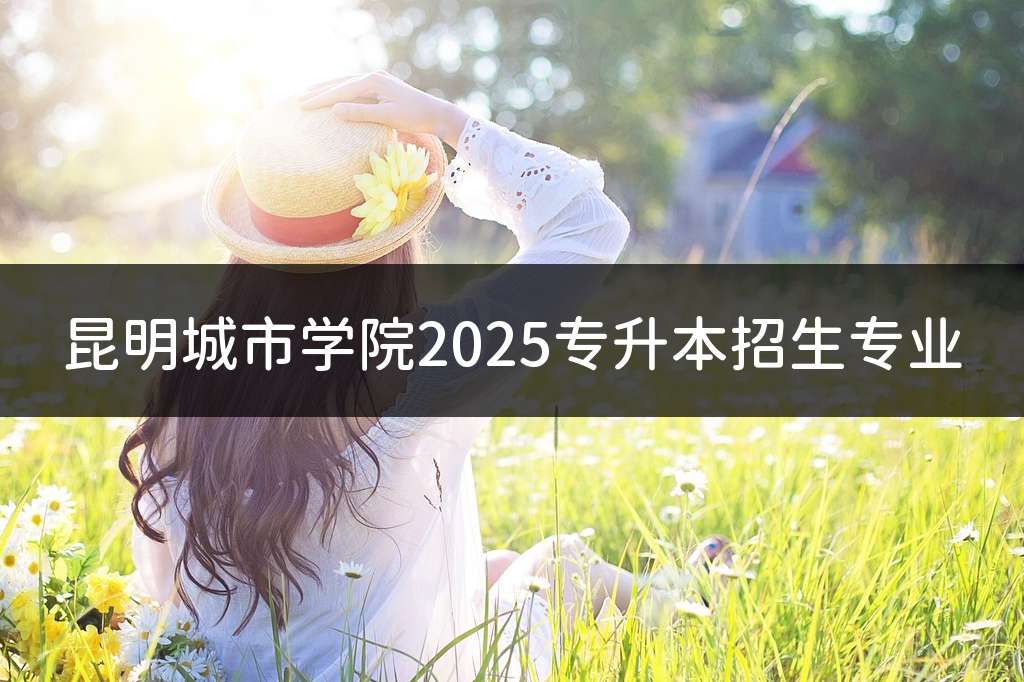 昆明城市学院2025专升本招生专业