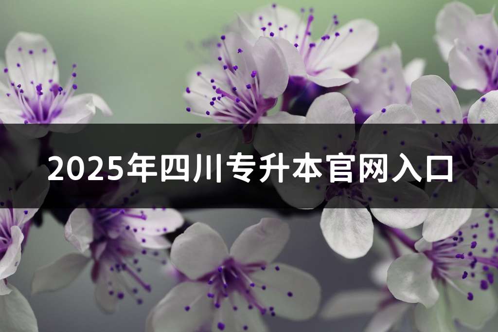 2025年四川专升本官网入口